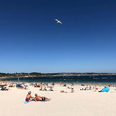 Cozy Au Centre-ville Брест