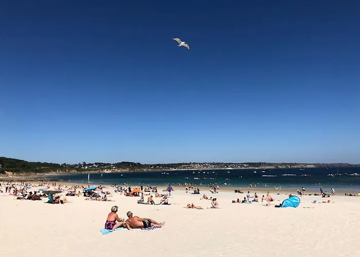 Cozy Au Centre-ville Brest